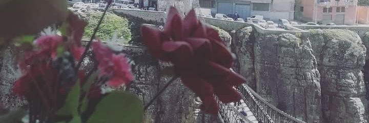 AlaaSafsaf1's profile banner image