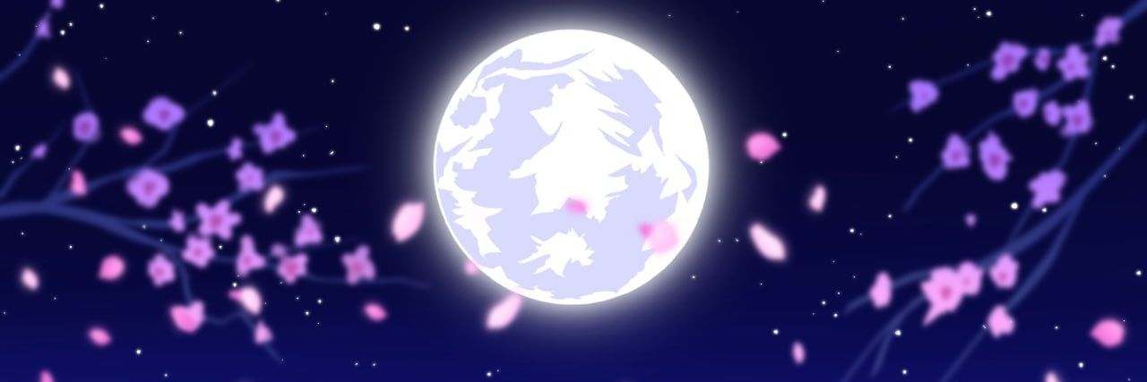 Callisto.cro 🍀 banner