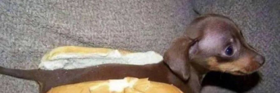 ZIMI_I's profile banner image