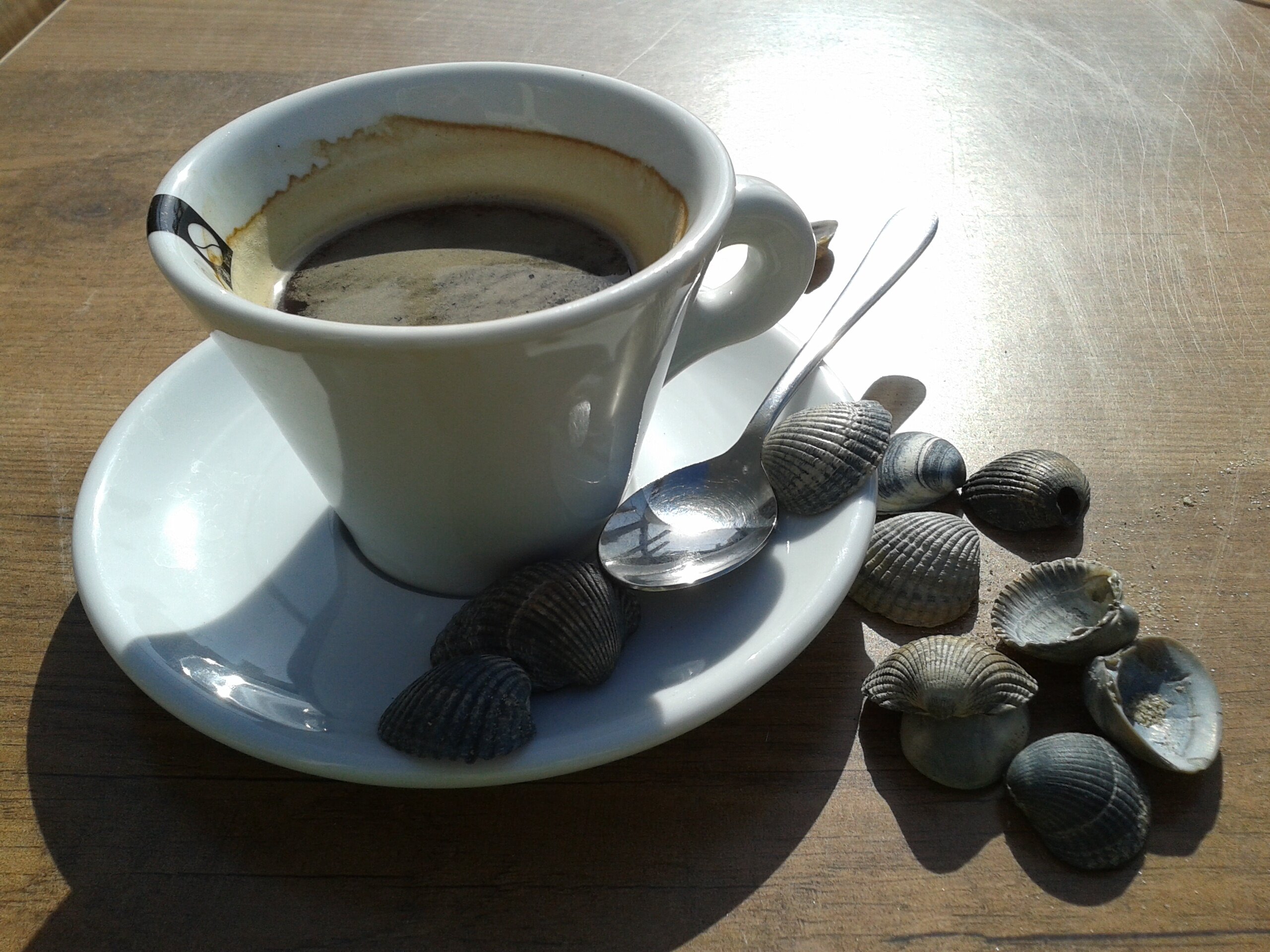 ingedekroon13's profile banner image