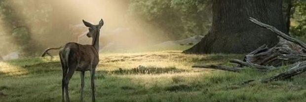 ⁷.²⁰ banner