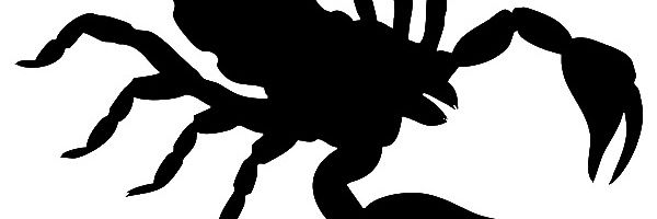 Akrep47416326's profile banner image