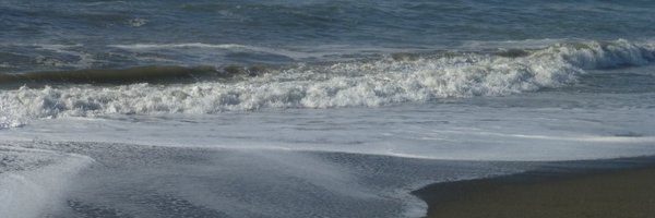 LaylaHawke2 Profile Banner