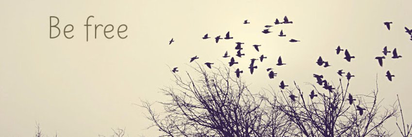 Shirira10's profile banner image