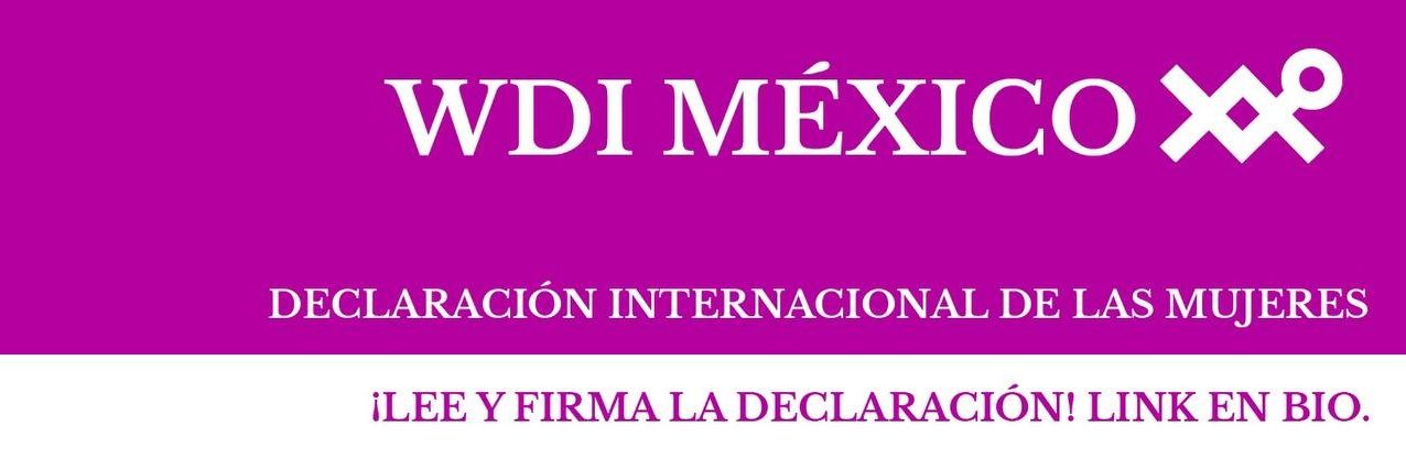 WDI México banner