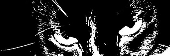 rickstink's profile banner image
