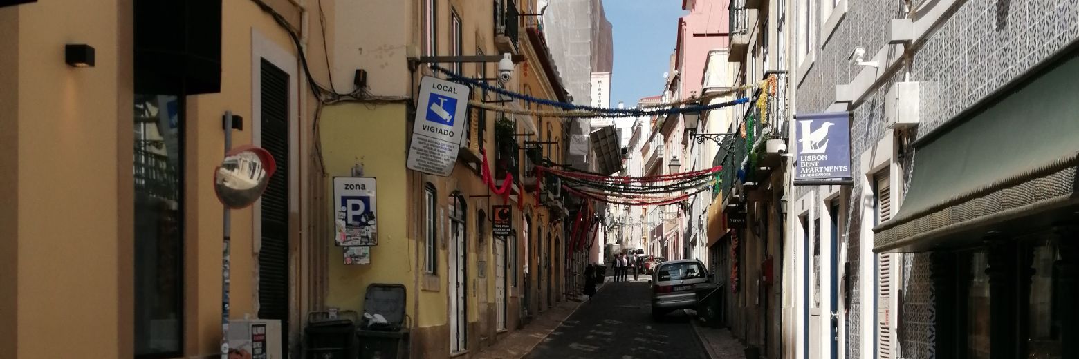 RodrigoMMontes's profile banner image