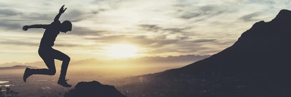 Lion King ⚡️ banner