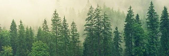 PatiiC_C's profile banner image