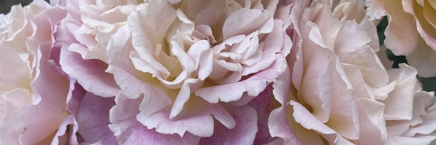 ランデヴー banner