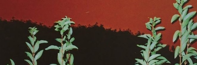 augogie's profile banner image