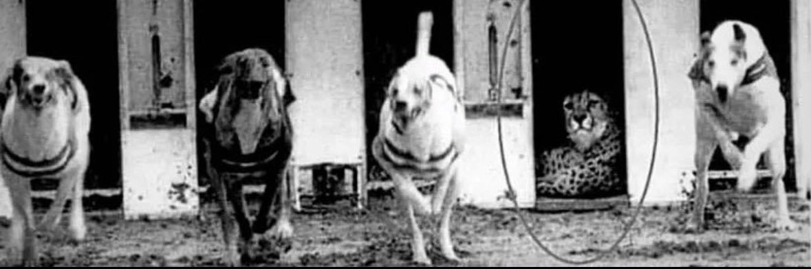 Table Tennis God banner