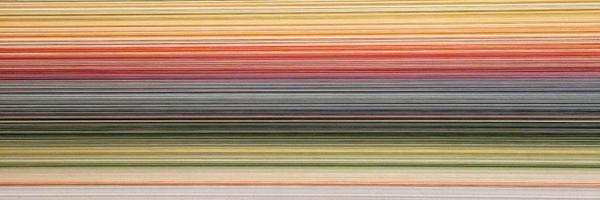 amuehl Profile Banner