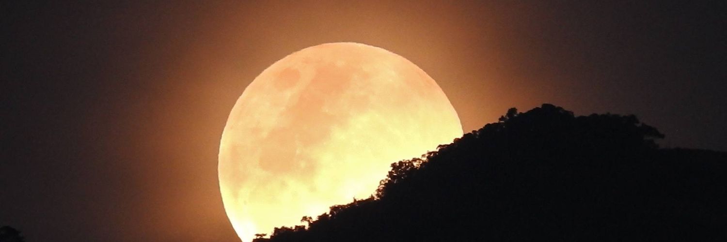 mltistn's profile banner image