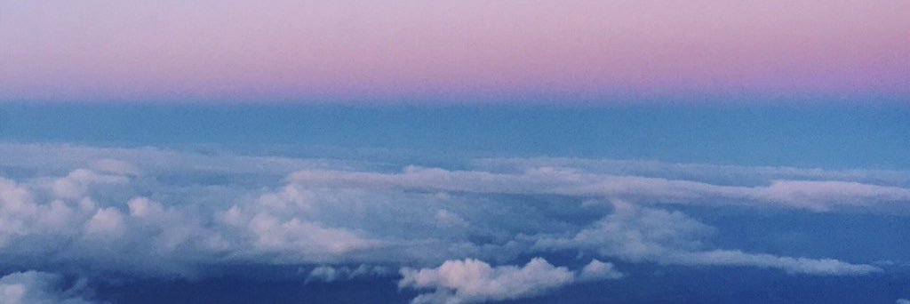 trophytroye's profile banner image