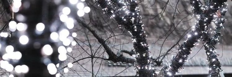 колд митл.🌨 banner