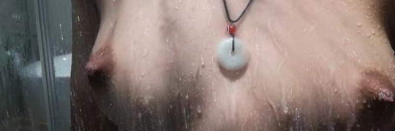 新任铲屎官 banner