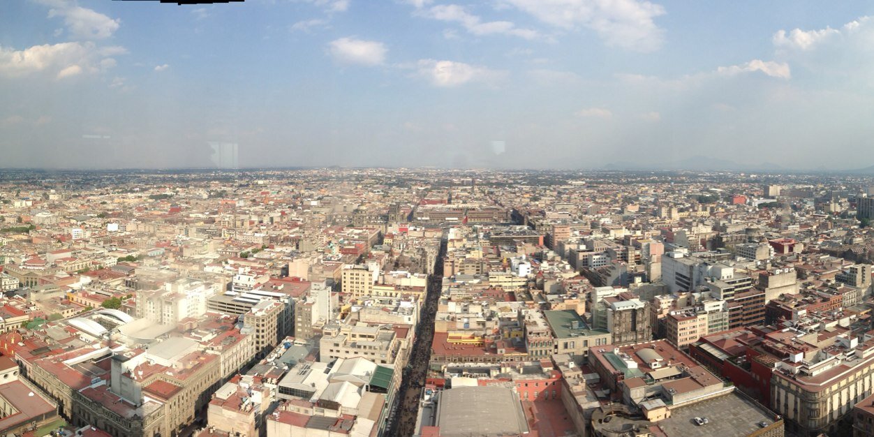 Shelly Moses Laska banner