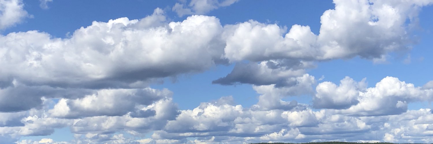 dennizwallen's profile banner image