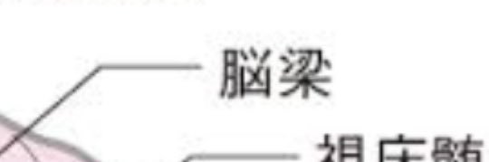 は？ banner