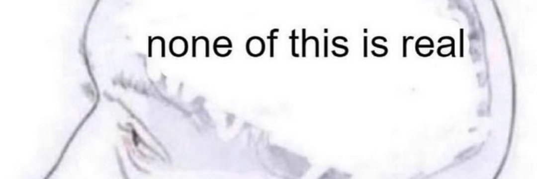 TROY banner