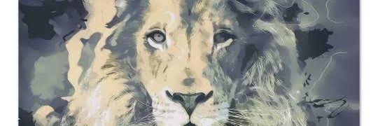 LeonRdz091's profile banner image