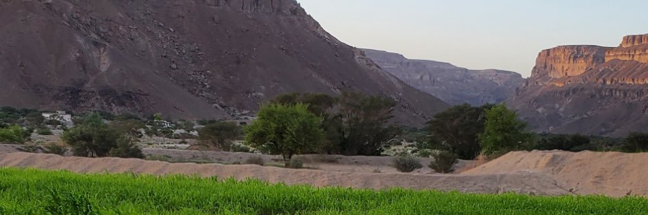 هوّاك banner