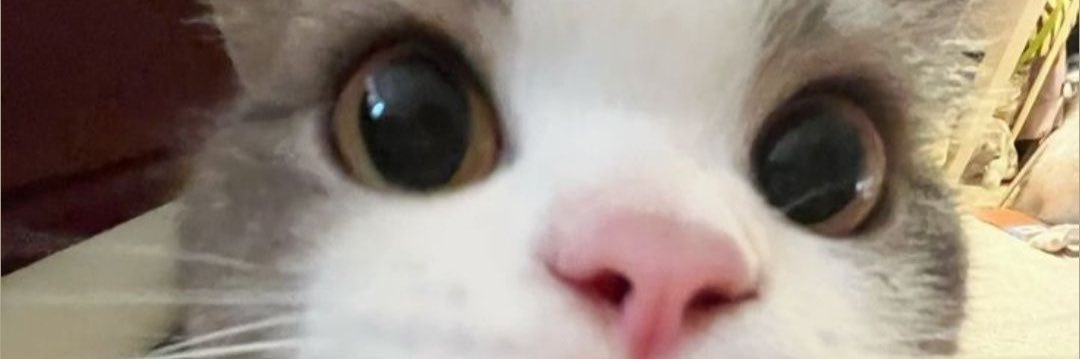 llxyzzo's profile banner image