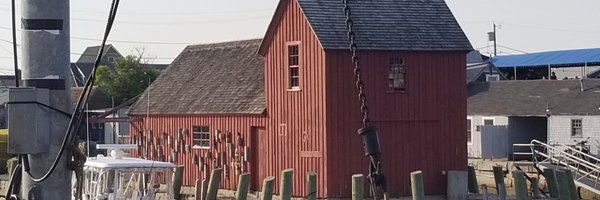 CrawlChiPet Profile Banner