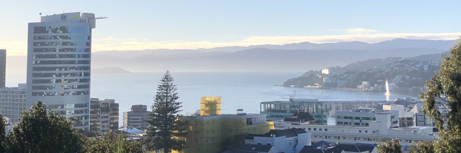 Finley Ngarangi Johnson banner