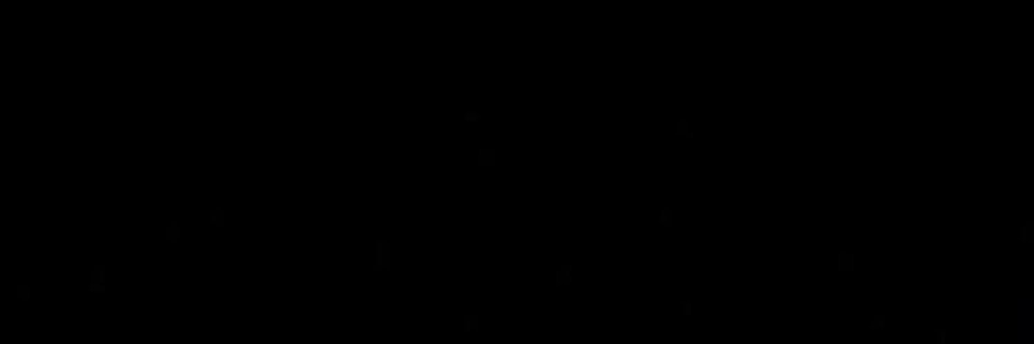 raphaela banner