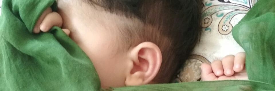 avahedi's profile banner image