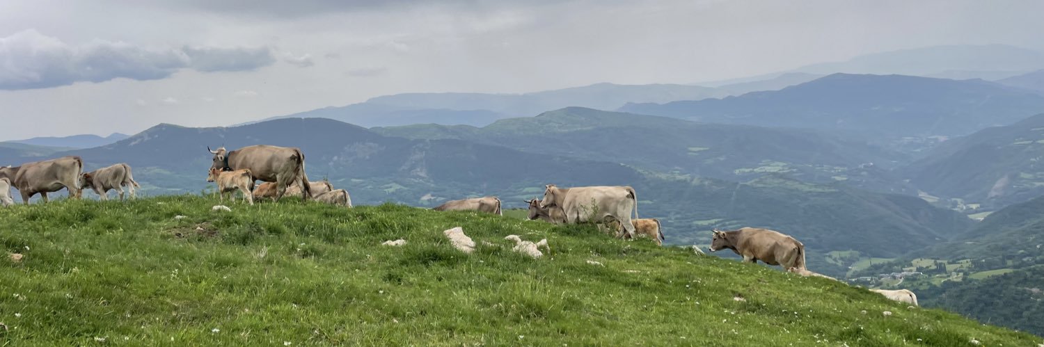 geoesquerat's profile banner image