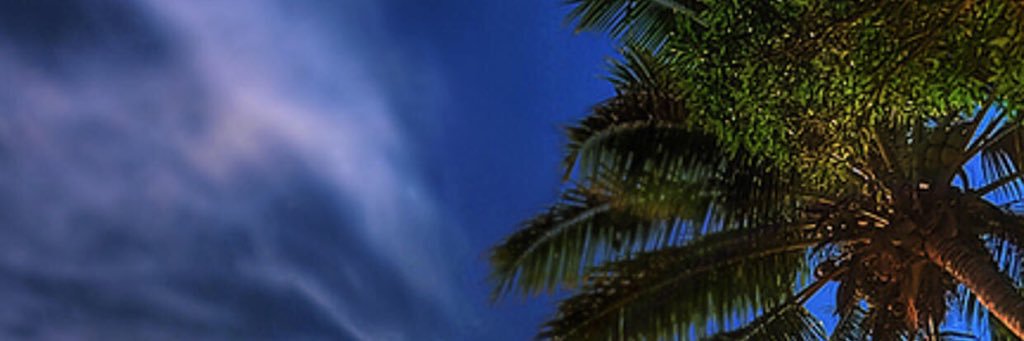DevietroMichael's profile banner image