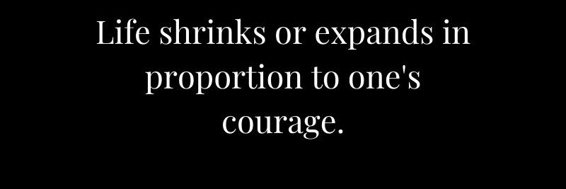 Adv. Dipali N. Ojha banner