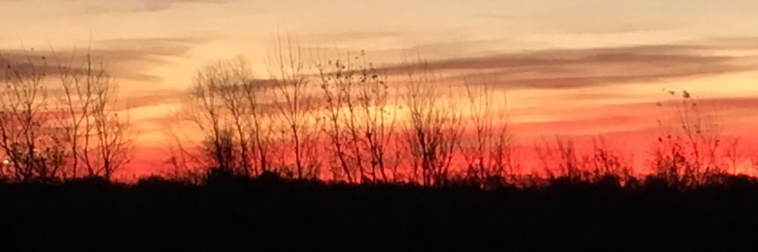 Denise LegoreSeawood banner