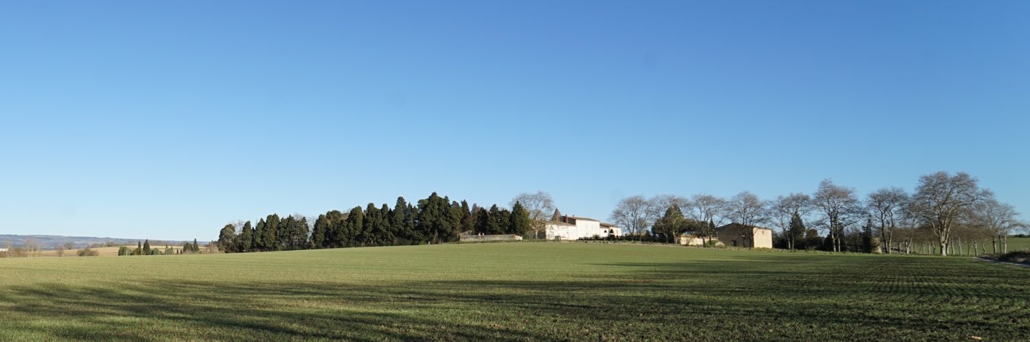 annebellon's profile banner image