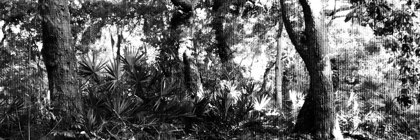 revglenrose's profile banner image