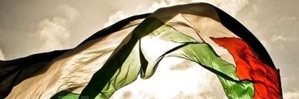 🇵🇸 will🐝Free Profile Banner