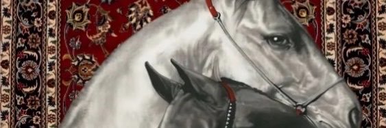 WaleedAM_'s profile banner image