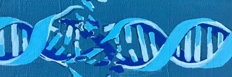 Center for Genome Integrity's banner
