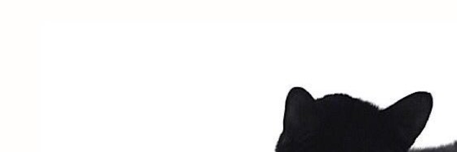 다쫑's banner