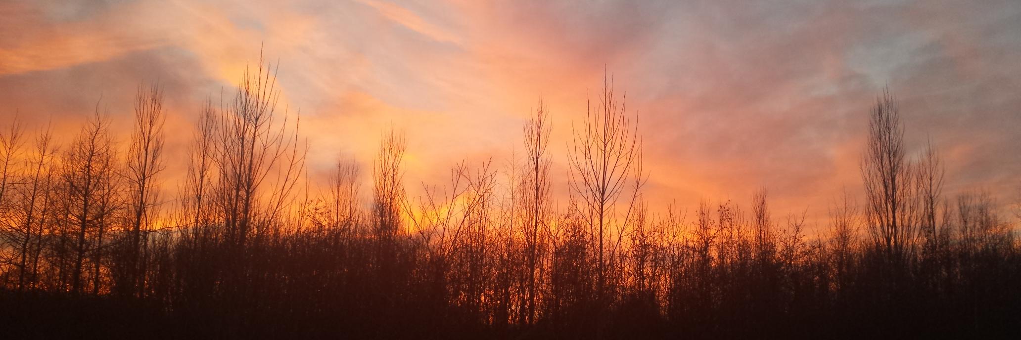 Dr Rachel Stocker banner