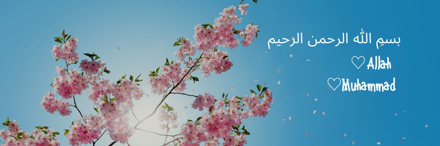 DhaniaDavis's profile banner image