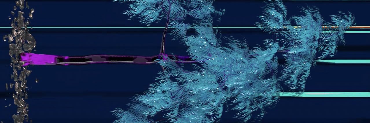 barcodebrenda 🍌🥑 banner