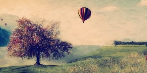 Itzayanamonroy's profile banner image