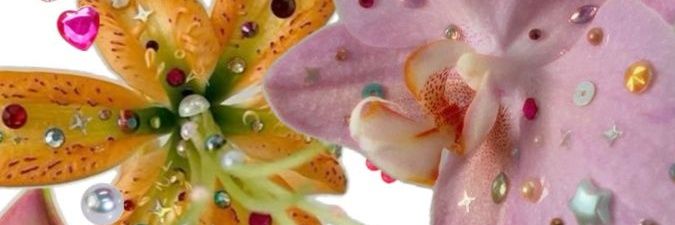 ꒰ঌ febdaee ໒꒱ banner