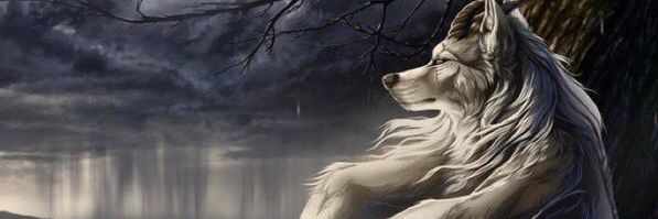 man3rfwlh's profile banner image