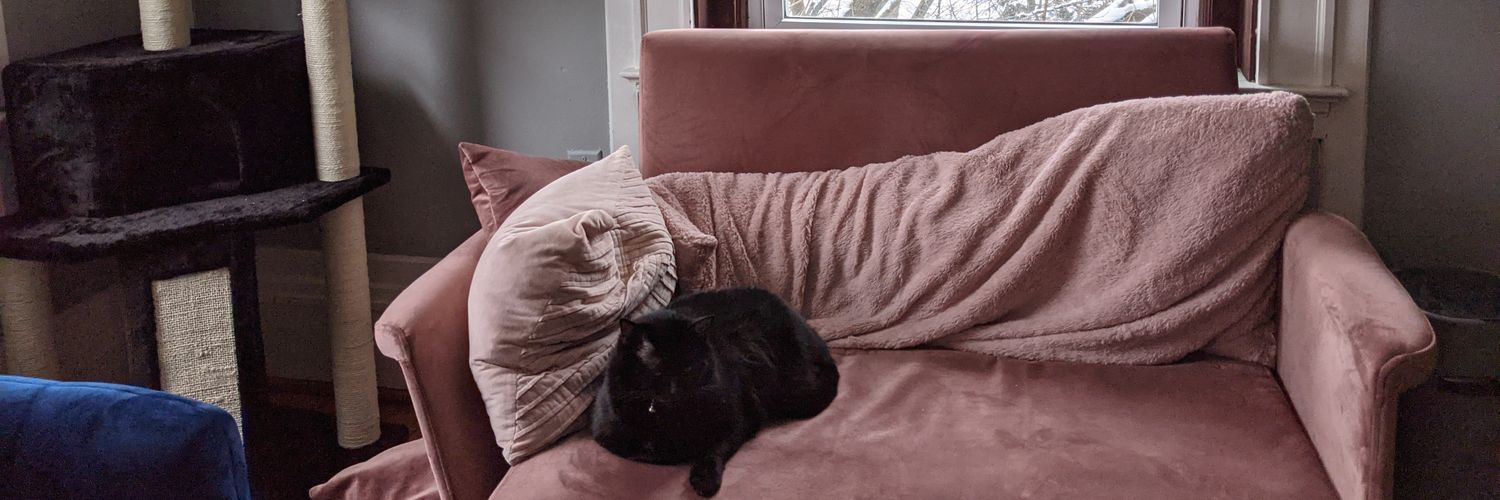 jordanpelavin's profile banner image