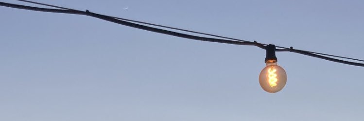 pecann_'s profile banner image